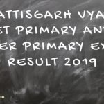 CG TET Exam REsut 2019 - Check Cg Vyapam Result online now