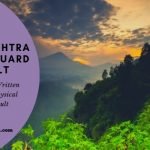 Maharashtra Van Vibhag Forest Guard Exam Result, Cut off marks and Merit list