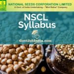 NSC Exam Pattern and Syllabus 2019