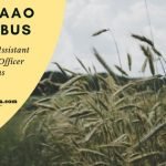 Download TNPSC AAO Syllabus PDF 2019 Online now