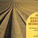 NFL Recruitment 2019 - Apply Online for 52 Accounts Assistant Vacancies in noida